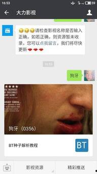 娱乐吃瓜摄影师百度云资源