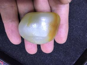 博宏个人资料,才华横溢的青年才俊，多领域杰出贡献者